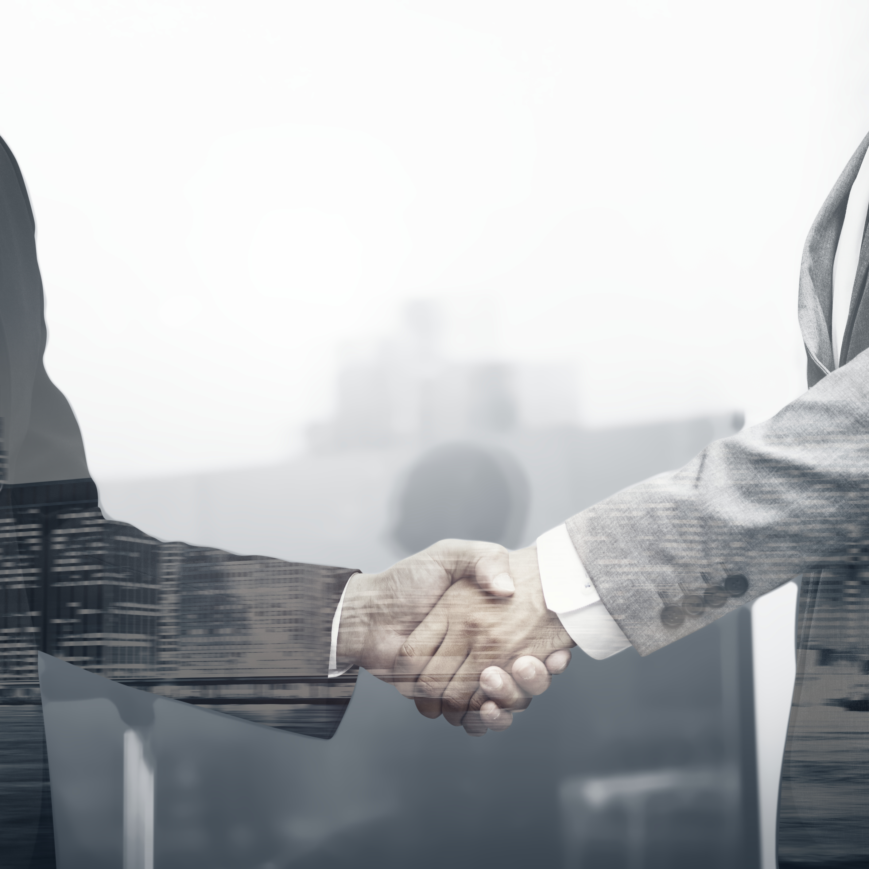 Business Partners